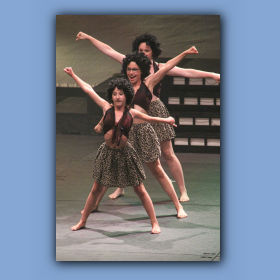fdn13-0381.jpg