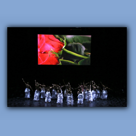 fdn16-0147.jpg